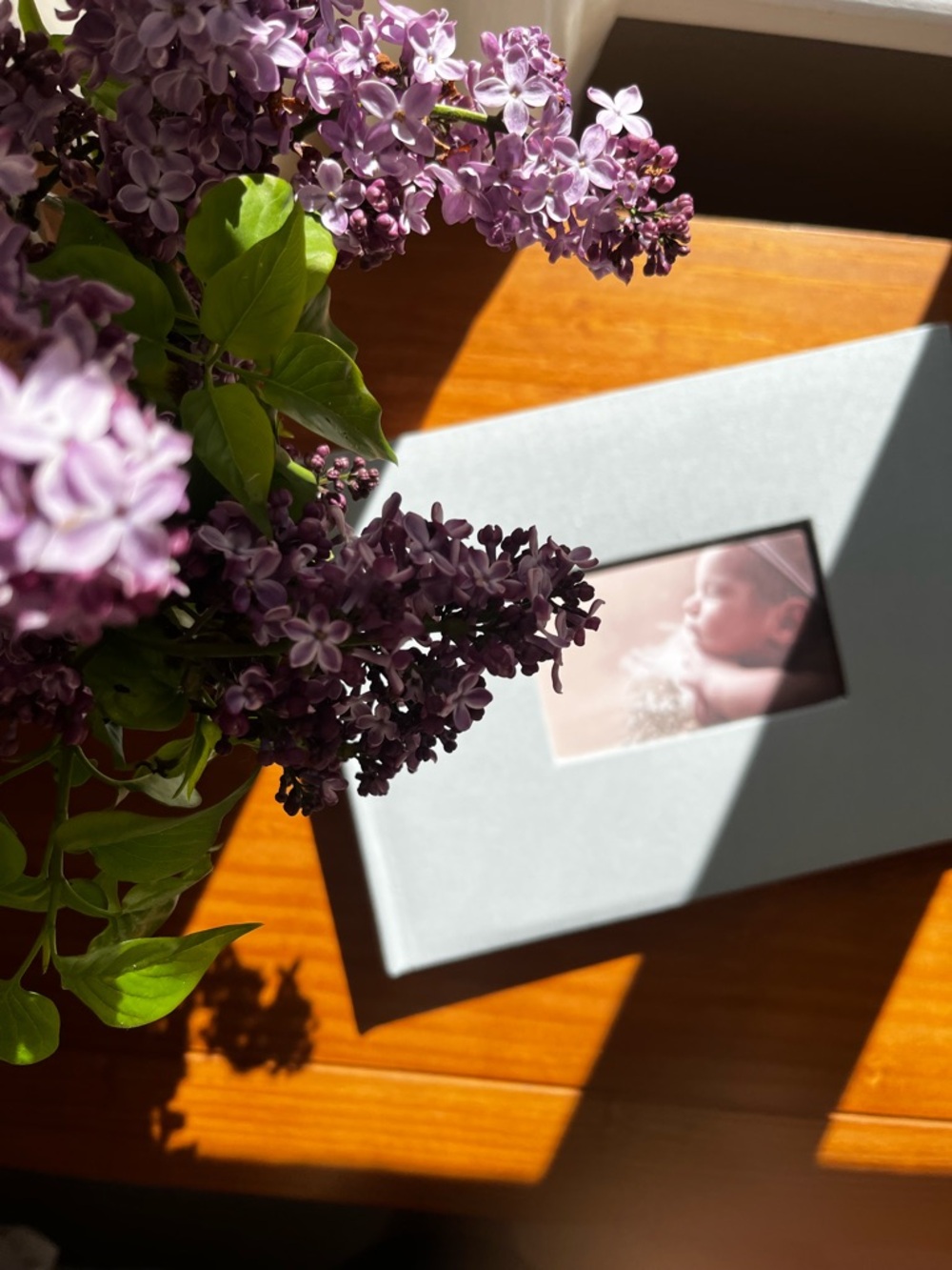 Premium Scrapbook Album with Window & Writing Space